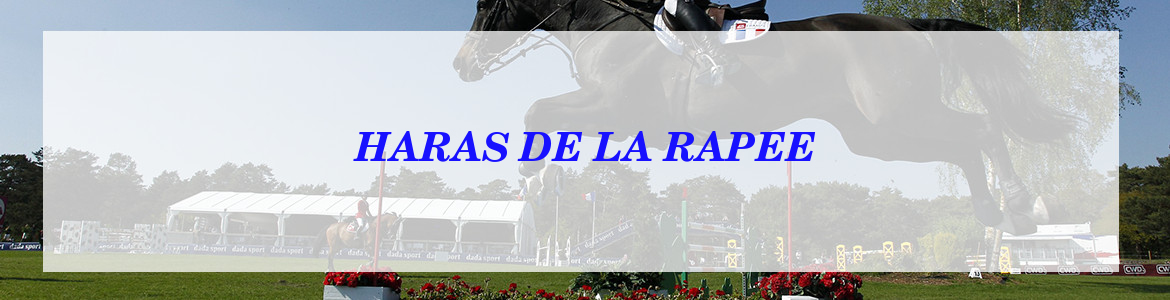 HARAS DE LA RAPEE